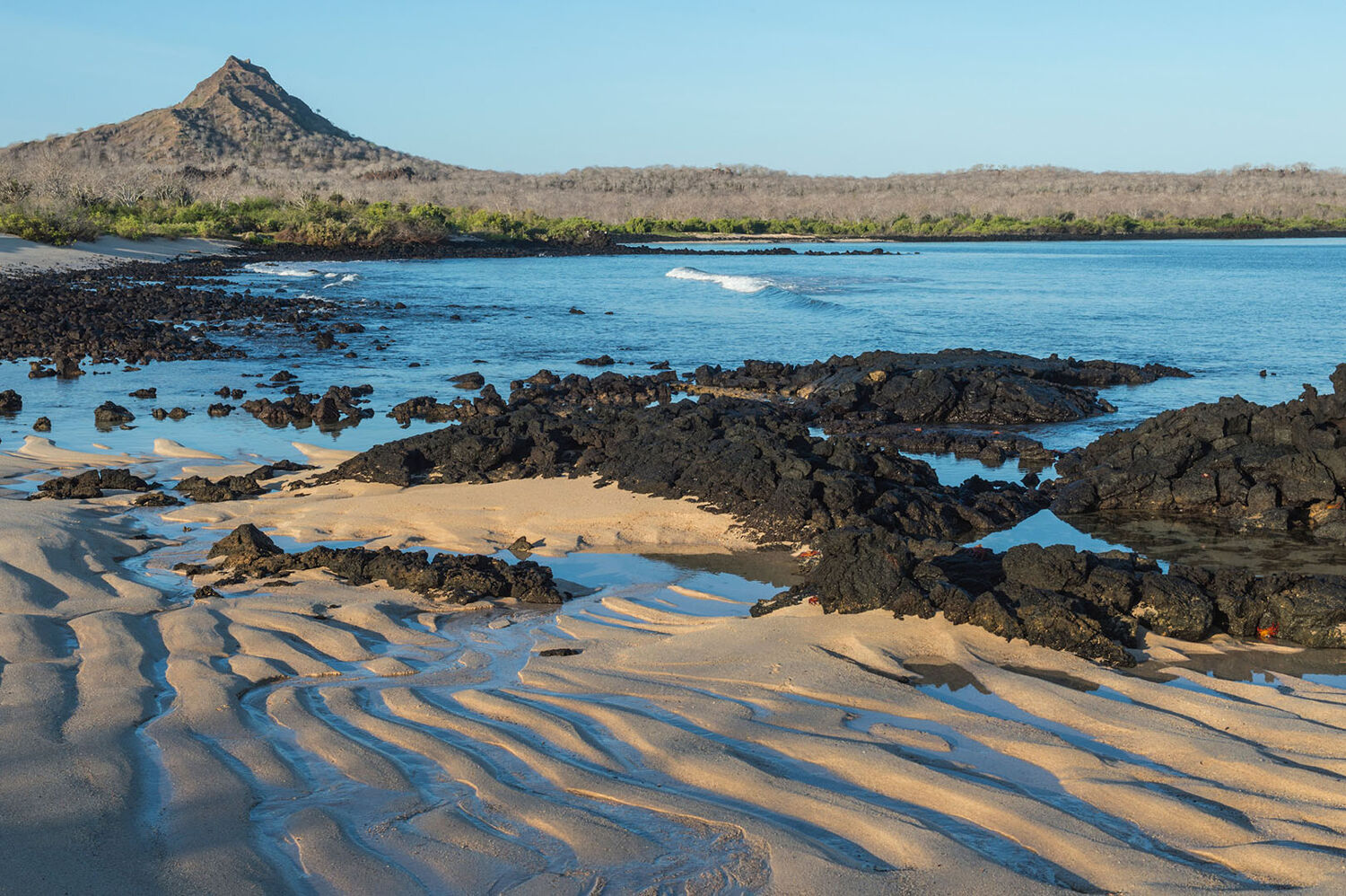 PlaceholderImage1302